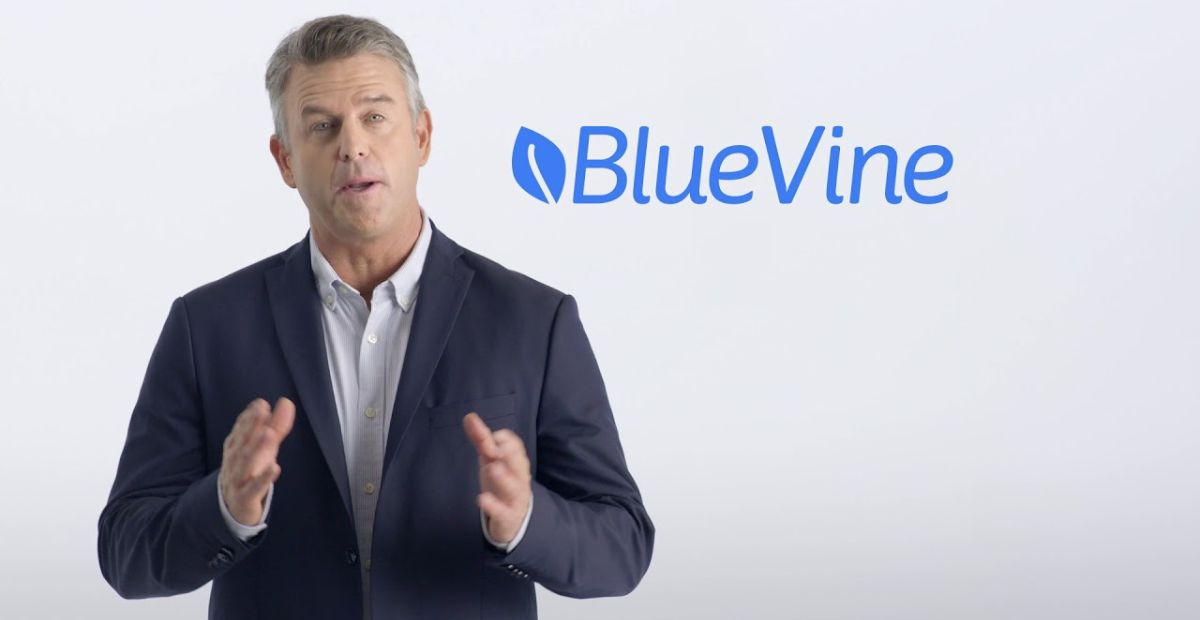 BlueVine (Best for Flexible Lines of Credit)